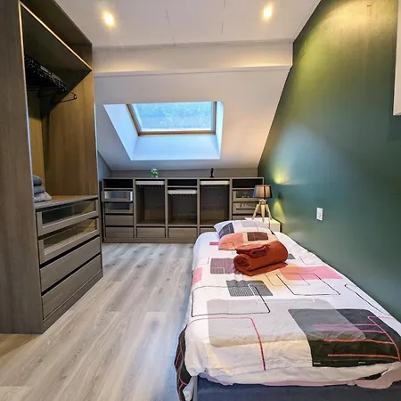 Feriehus Maison Le Bressaud La Bresse